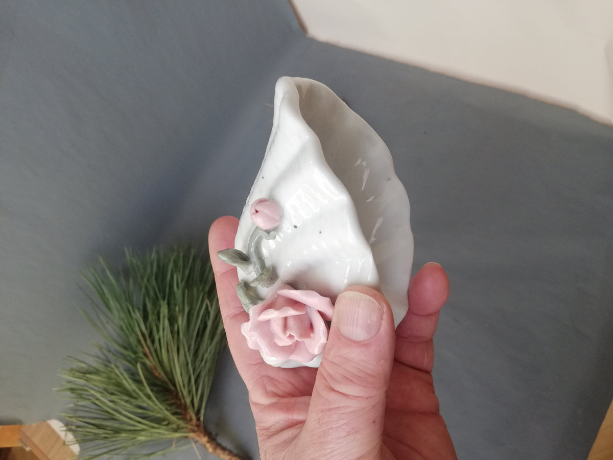 Größenvergleich der Muschelschale in der Hand
