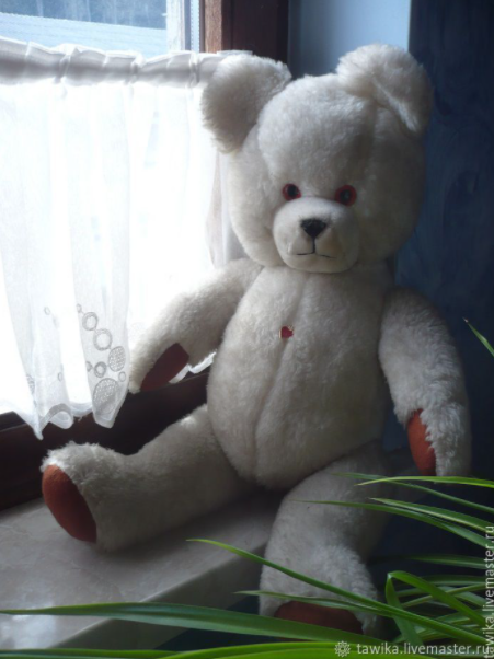 Weißer Teddy Österreich Berg alt