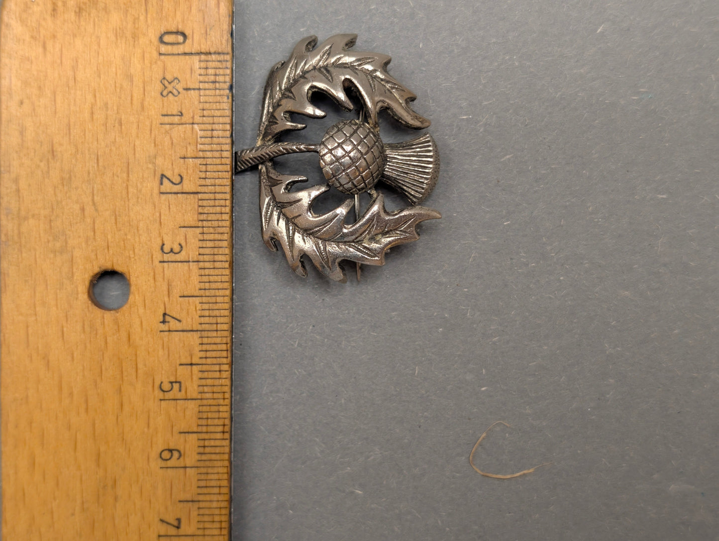 Distel-Brosche neben Lineal, ca. 3,5 cm Breite, Größenvergleich