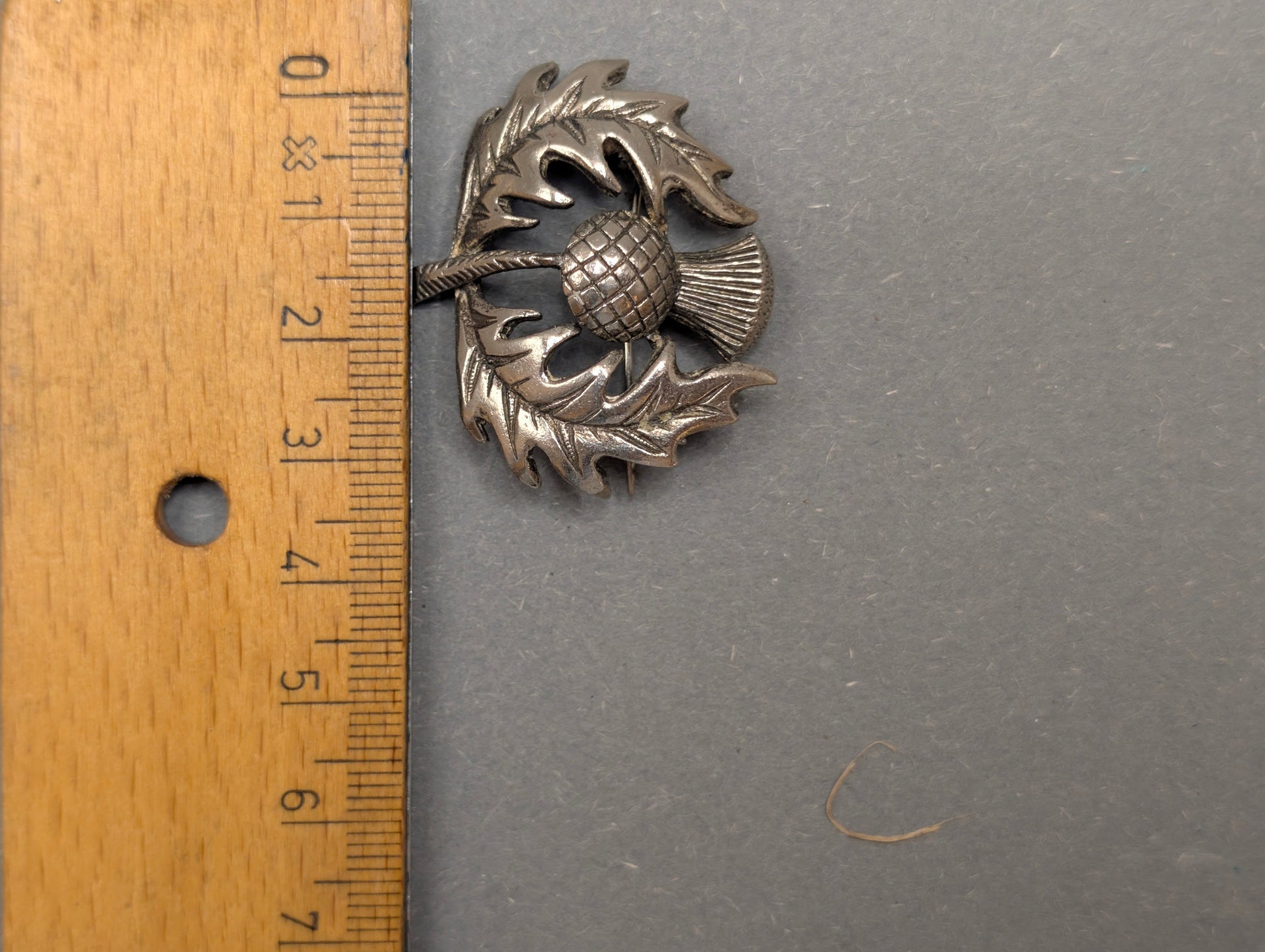 Distel-Brosche neben Lineal, ca. 3,5 cm Breite, Größenvergleich