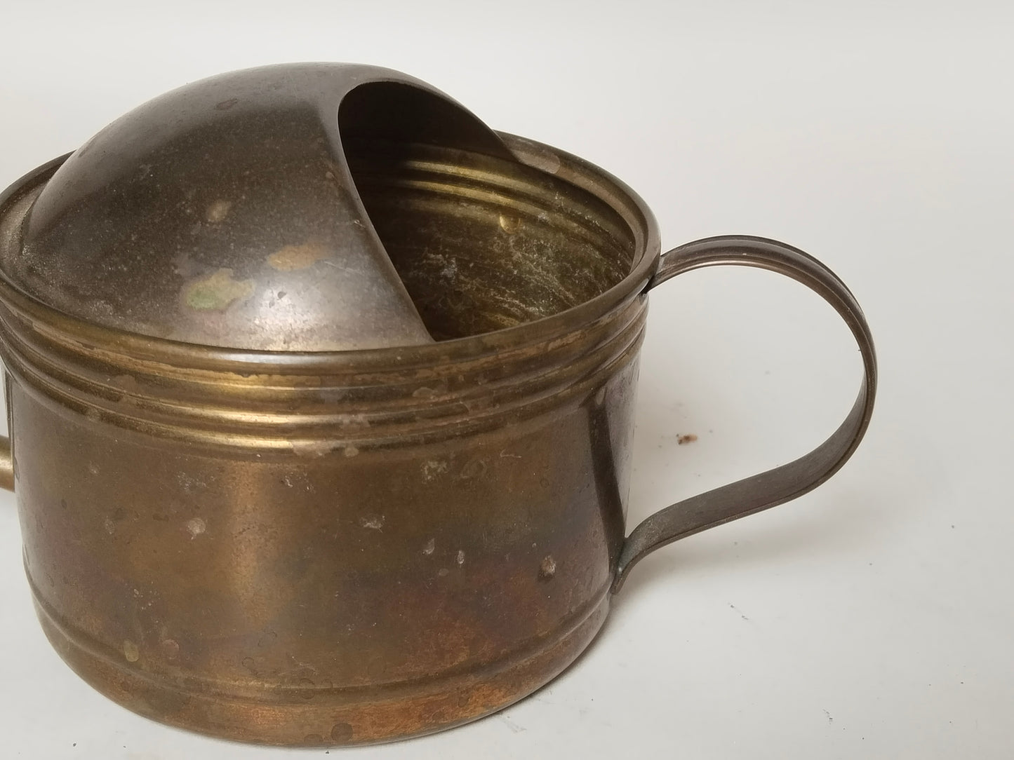 Vintage Messing Gießkanne Mini – Gartendeko & Sprührose aus Österreich