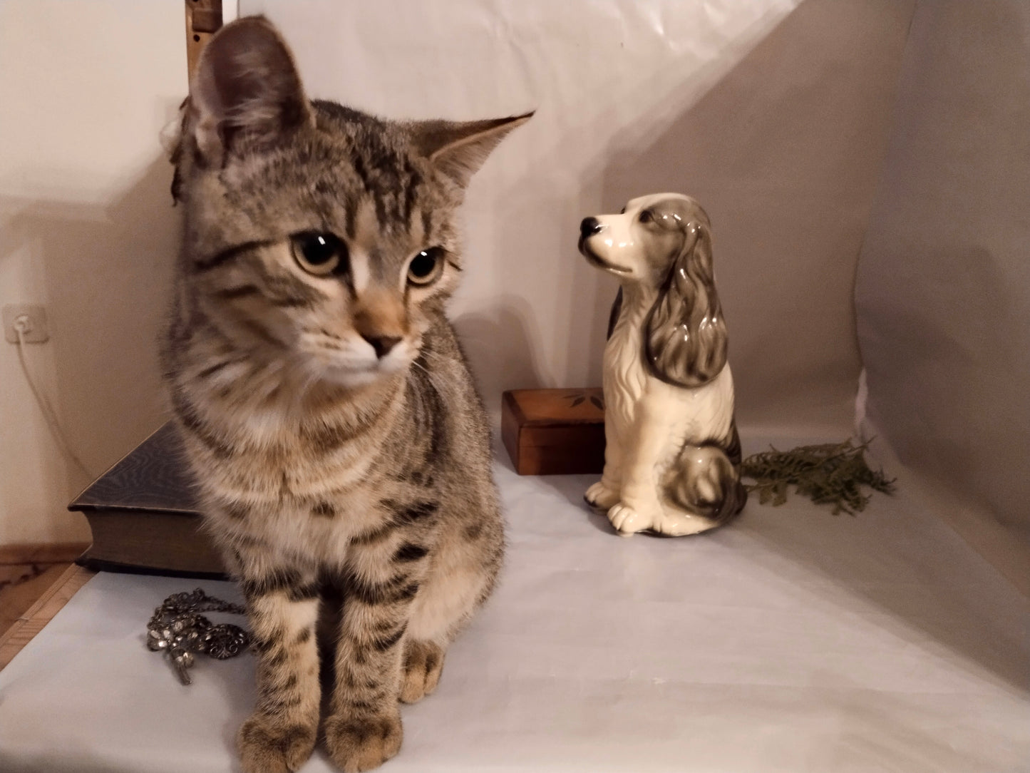 Keramikhund Vintage 1950er Jahre Dekoration mit lebender Katze. (Unsere Mimi)