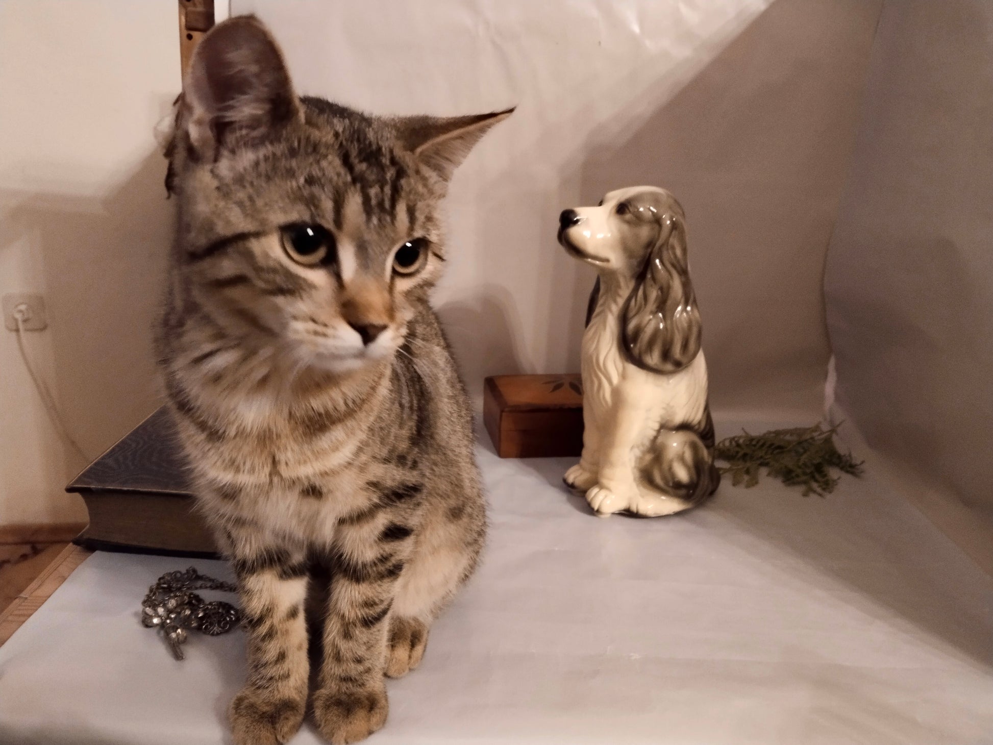 Keramikhund Vintage 1950er Jahre Dekoration mit lebender Katze. (Unsere Mimi)
