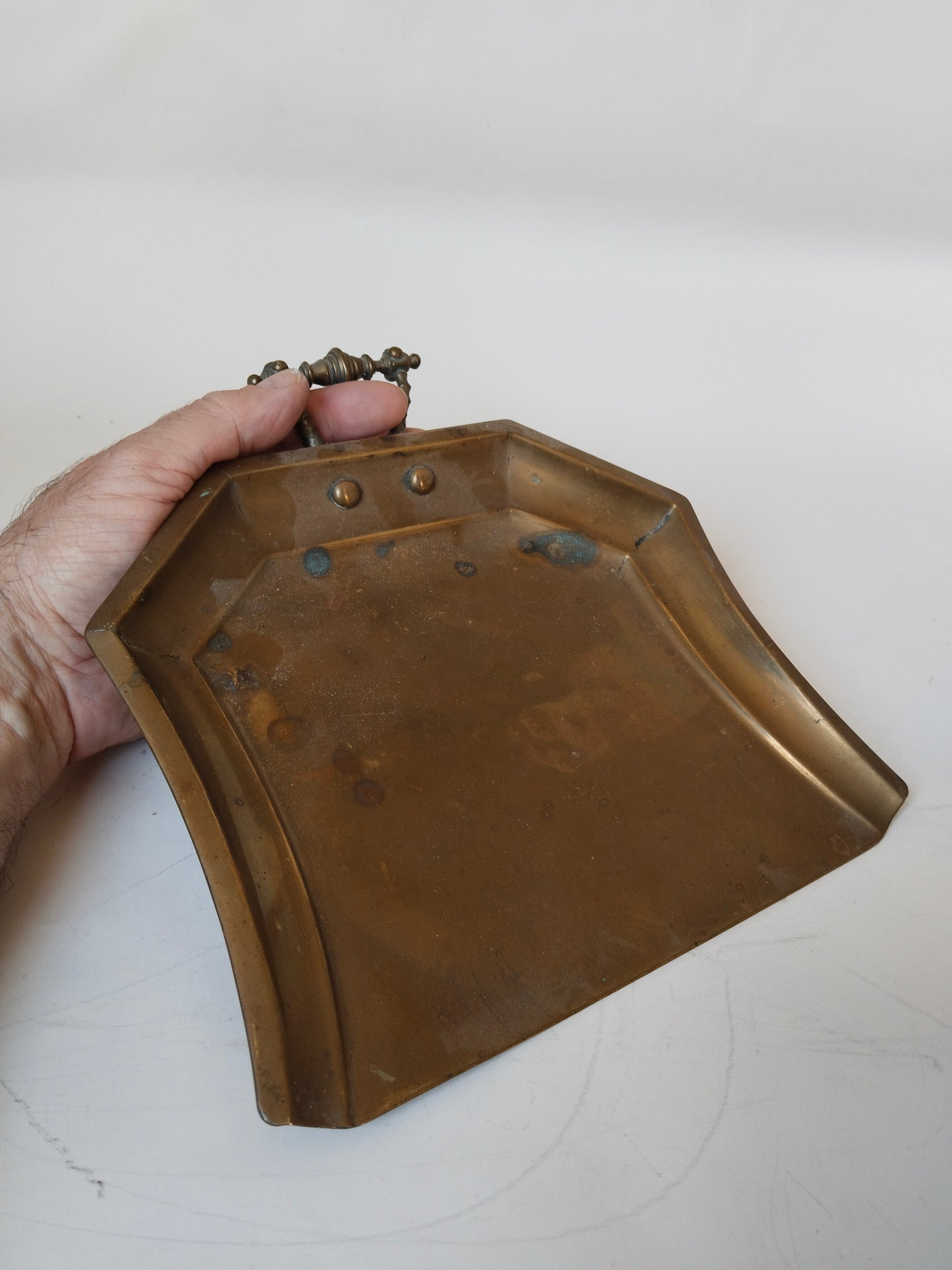 Krümelschaufel in der Hand, zeigt die Größe von 20 cm Breite