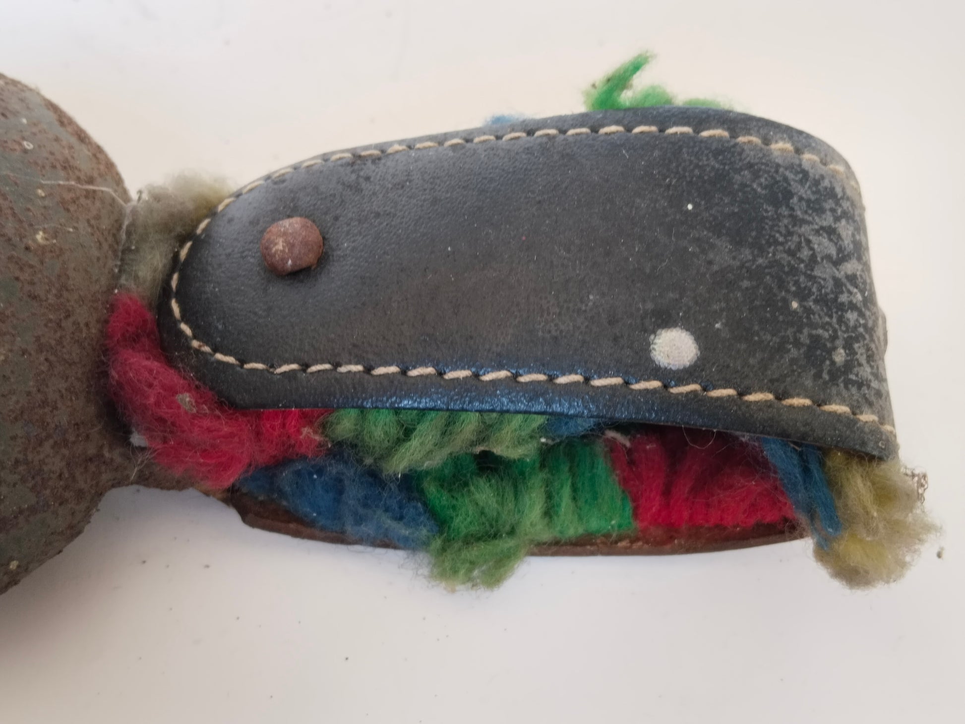Wollquaste der Kuhglocke teilweise unter dem Lederriemen versteckt
