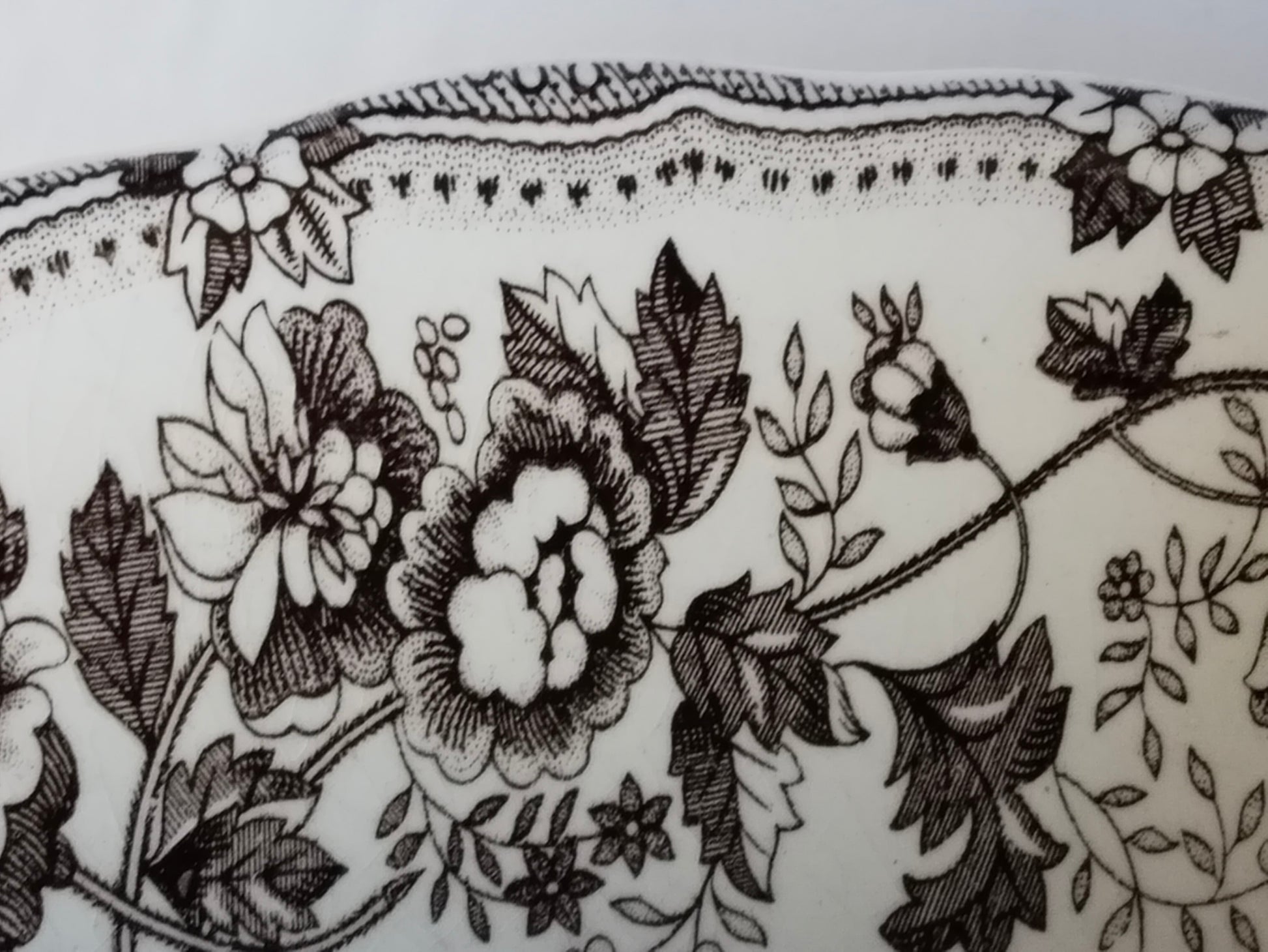 Nahaufnahme Blumen-Bordüre – Pfingstrosen, Blattwerk, Transferdruck-Detail, englischer Stil Vintage Geschirr
