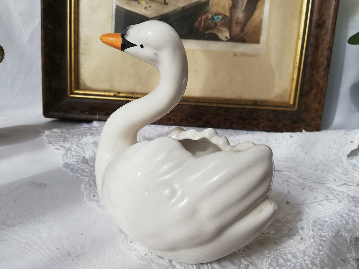 Schwan von der Seite