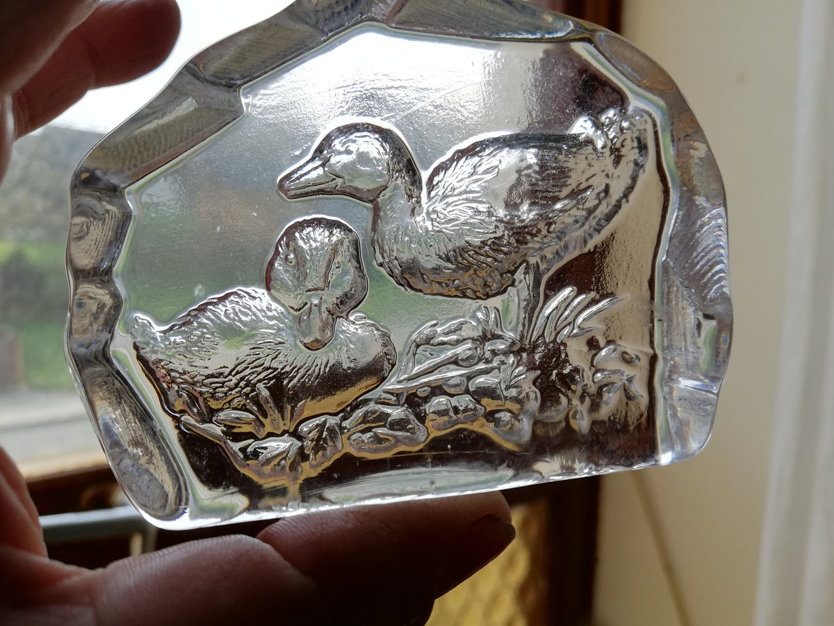 Zweite Ente mit Blick in die Ferne, Gravur im Glas