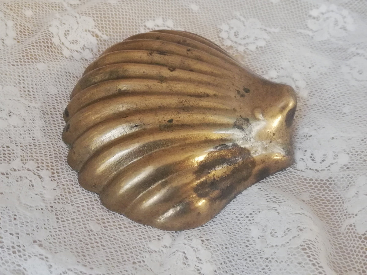 Messingmuschel als Ringschale mit Schmuck