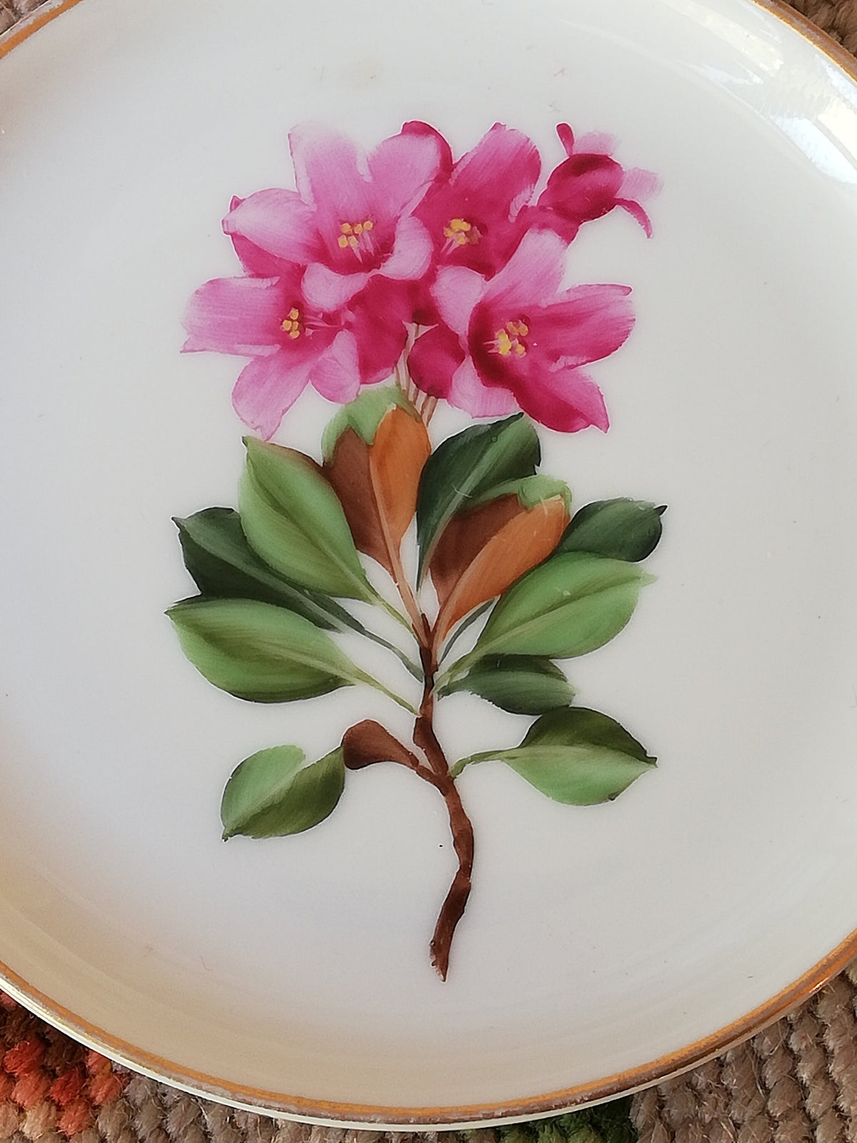 Rosenthal-Bodenmarke