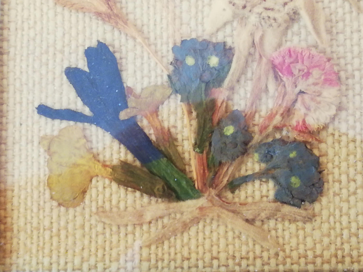 Getrocknete Alpenblumen auf Leinen im Detail