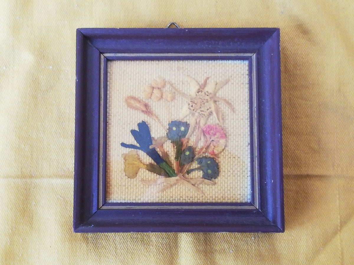 Miniaturbild mit gepressten Alpenblumen, Floralp Tirol, Gesamtansicht