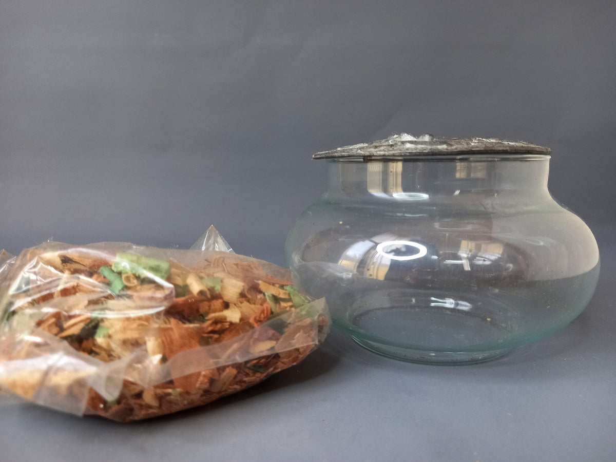 Glasschale des Duftspenders mit getrockneten Kräutern