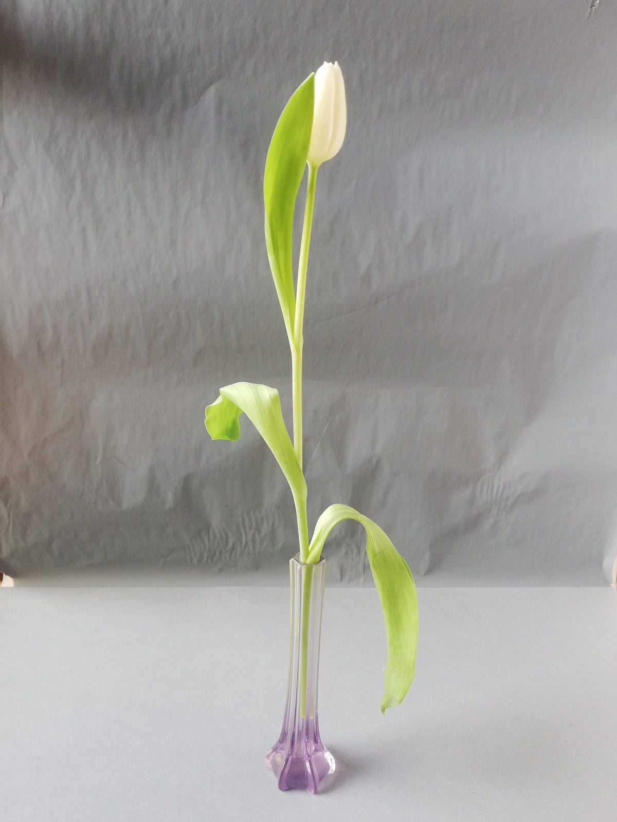 Elegant, narrow flower vase for single-stemmed flowers. graceful vase for the lunch table, purple vase as a flower decoration,