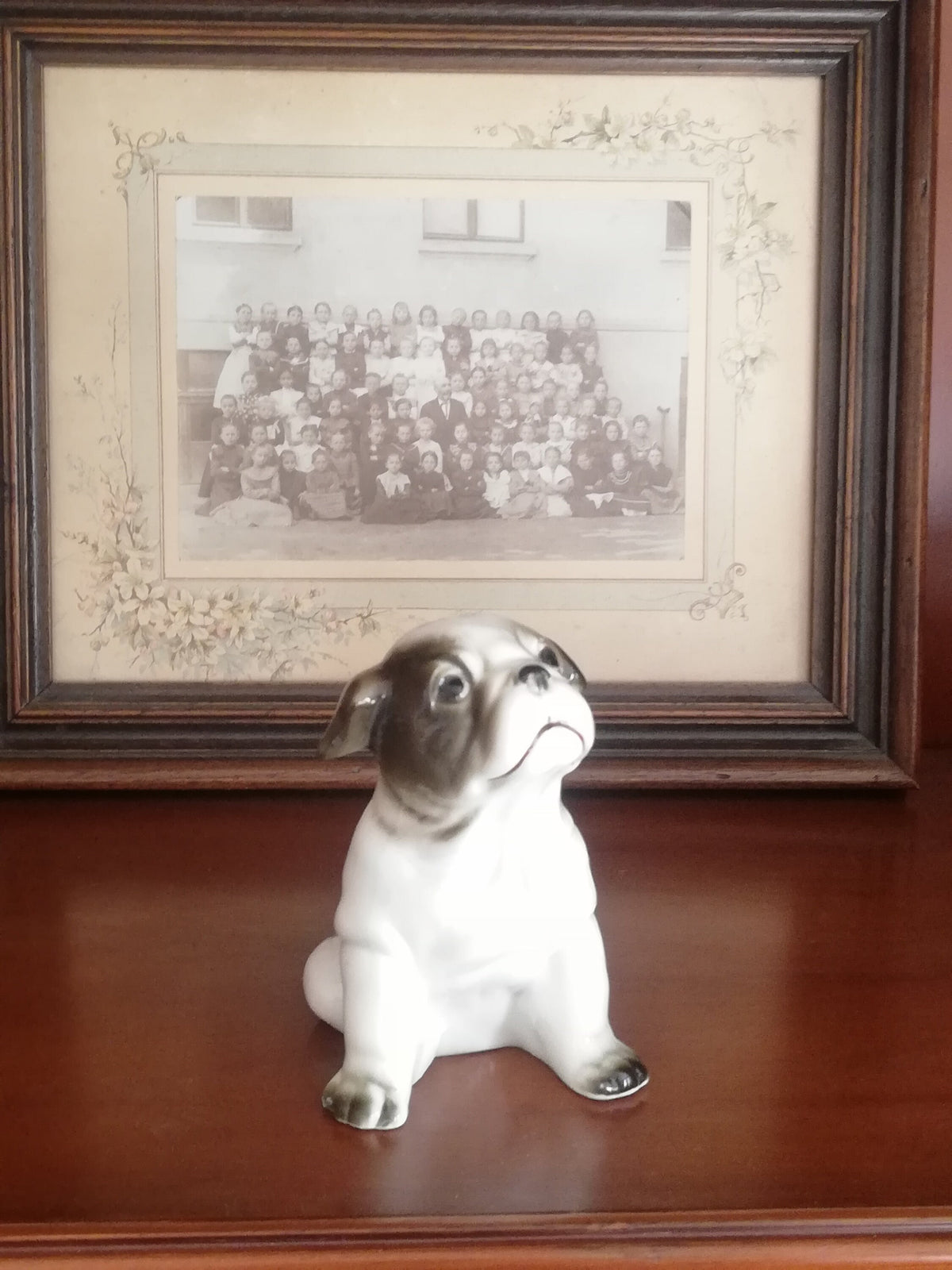 Unterseite der Porzellanbulldogge