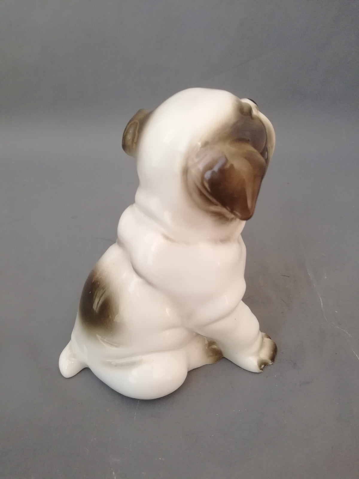 Gesicht der Bulldogge mit herzerweichendem Ausdruck