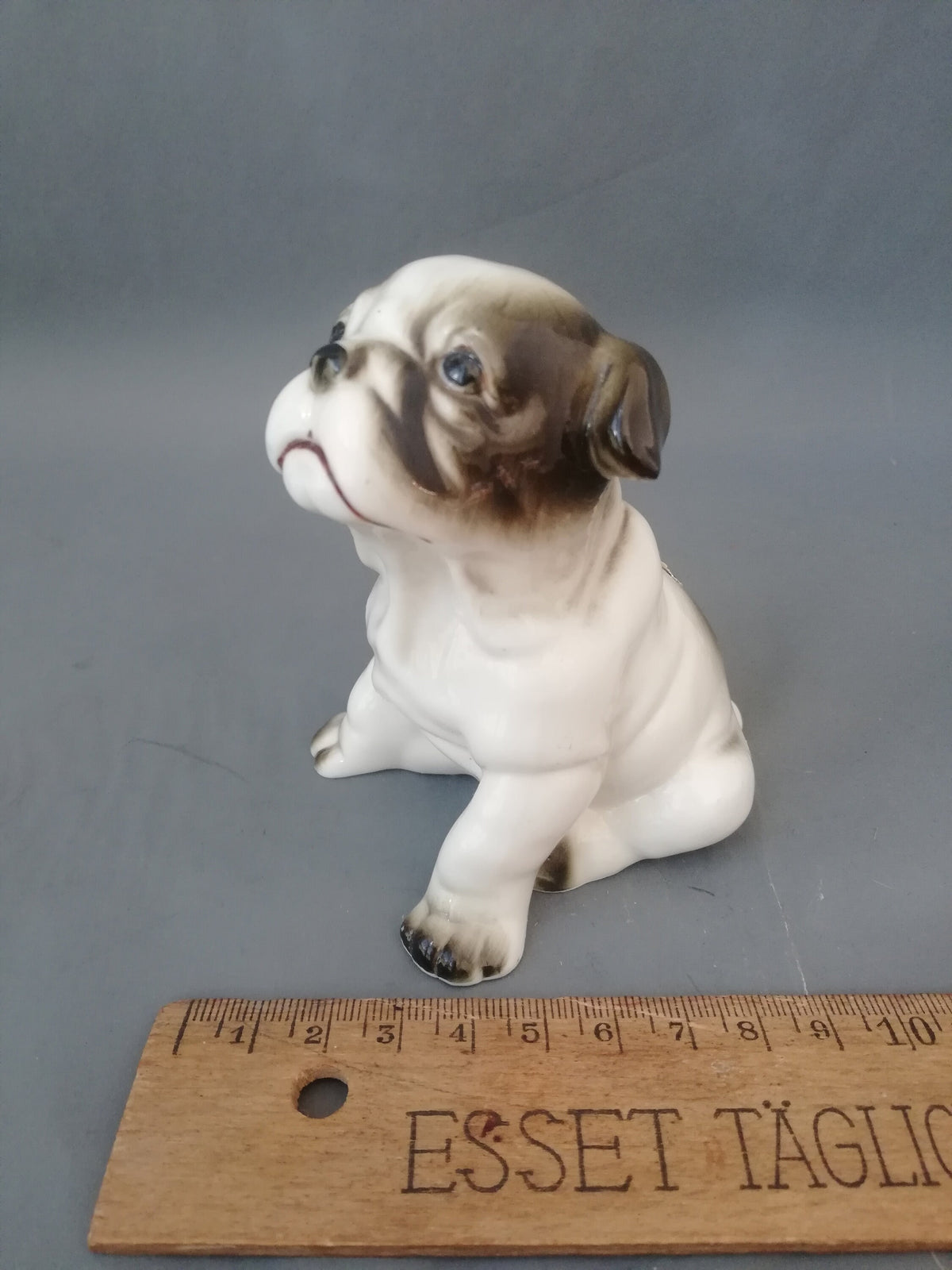 Bulldogge auf dem gedeckten Tisch