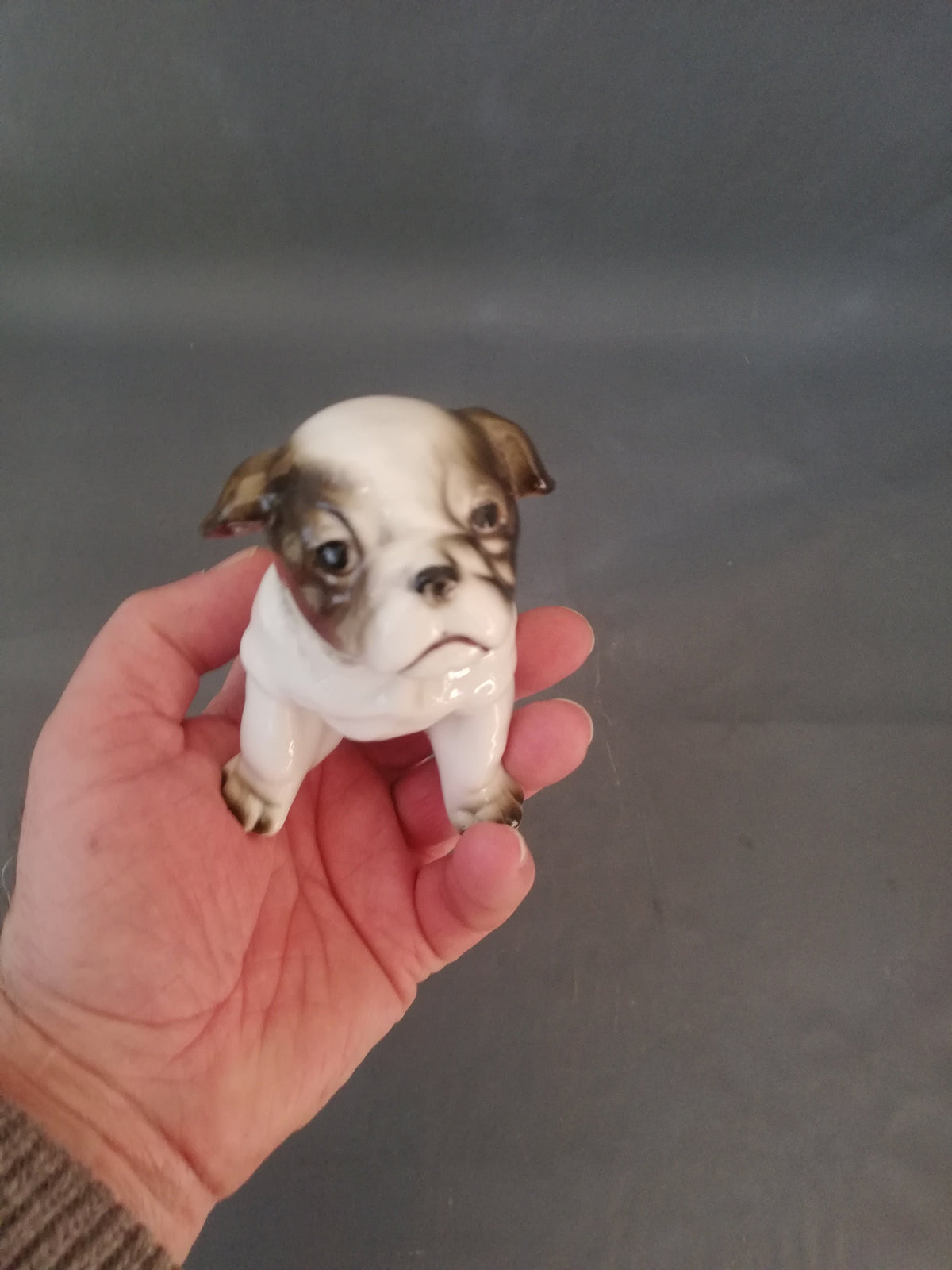 Bulldogge auf der Kommode