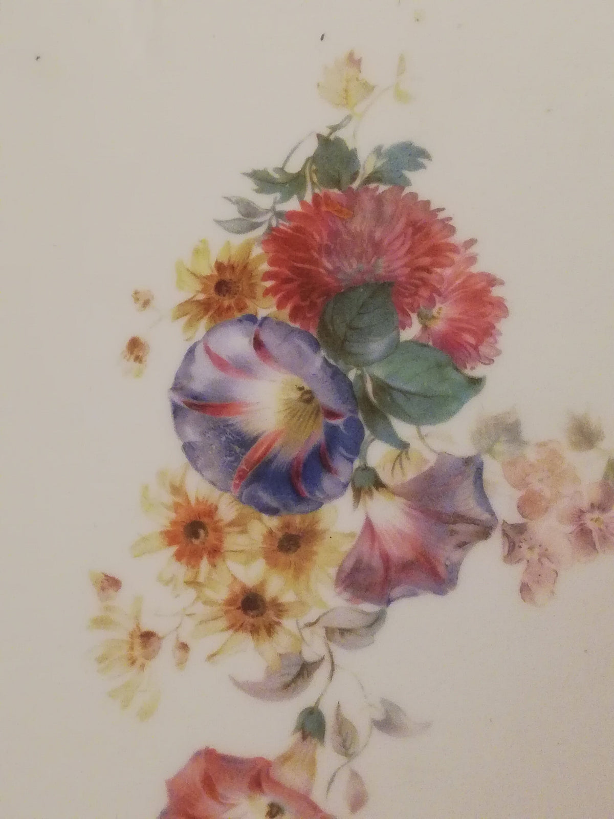 Weißes Blumenrelief am Schalenrand