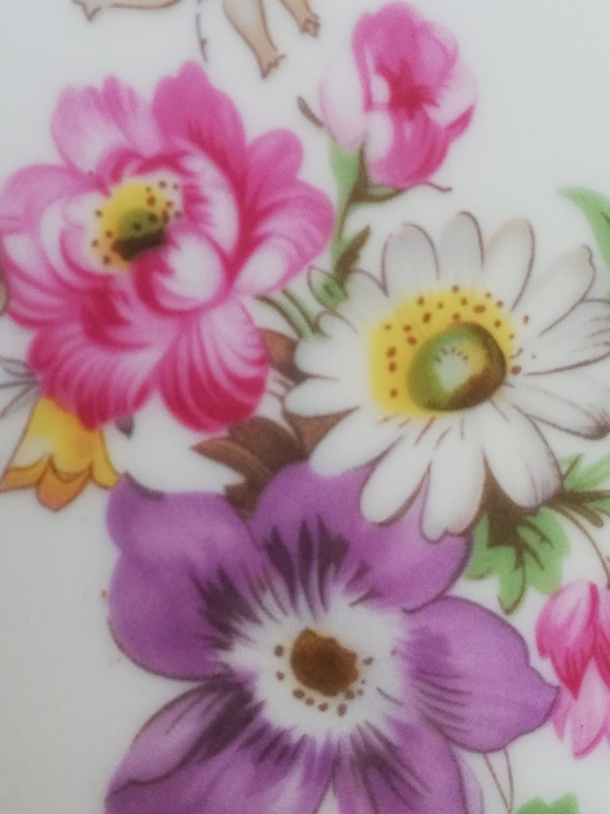 Detail der handgemalten Blüten auf dem MZ Porzellanteller