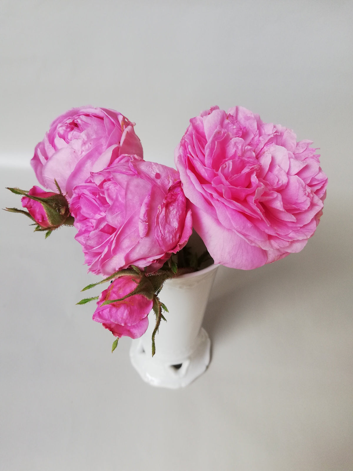 Fine porcelain vase with relief pattern and hole design - white - decorative highlight