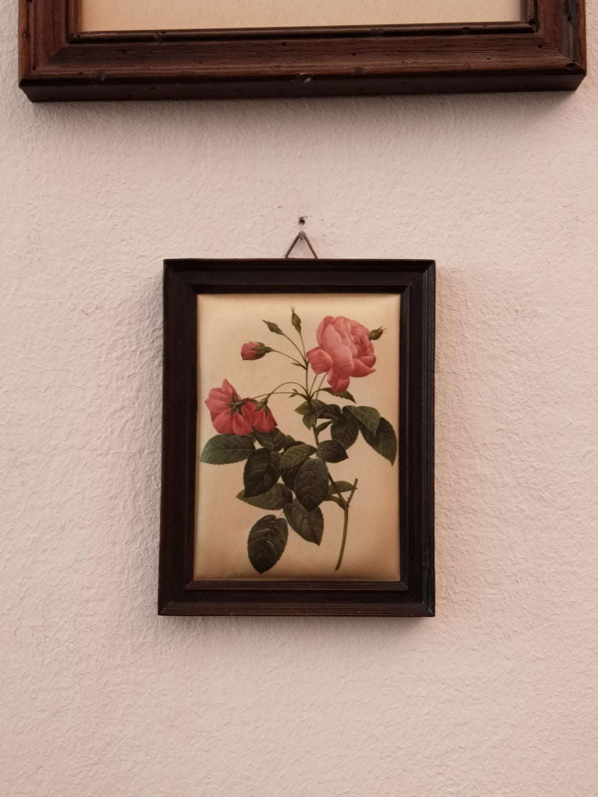 Rosenbild als Geschenk verpackt