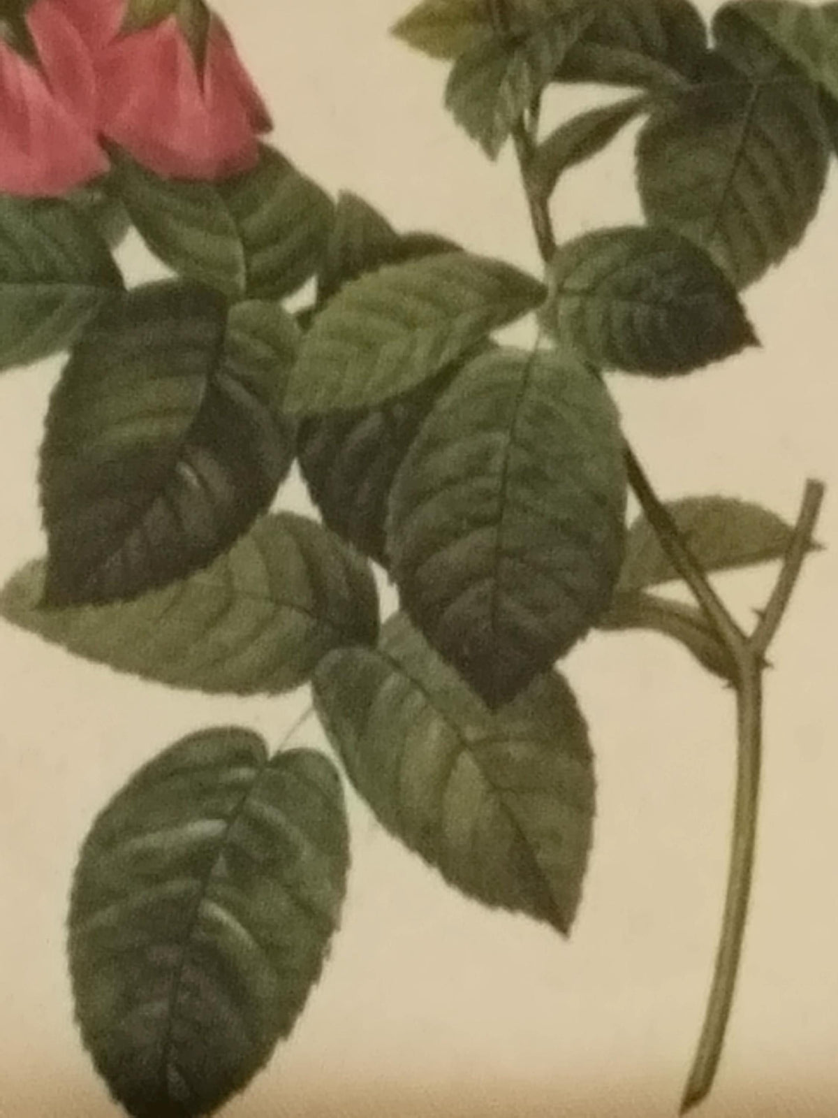 Seitenansicht des 1,3 cm tiefen Bildrahmens