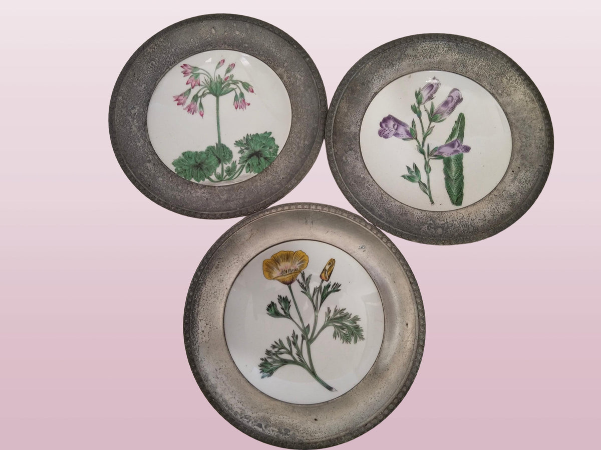 Drei Schwarzenhammer Porzellanteller mit Zinnrand und botanischen Blumenmotiven in Gelb, Violett und Rosa, Vintage 1970er
