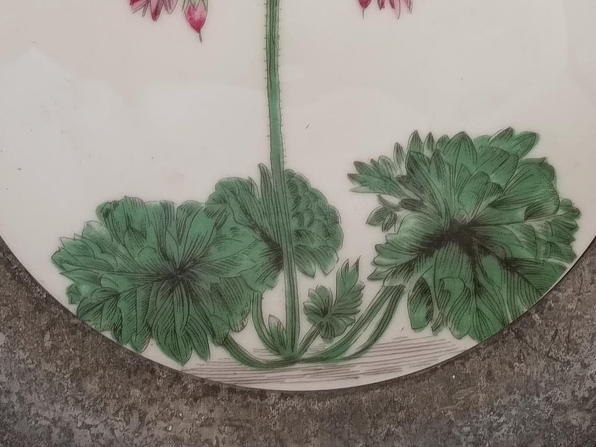 Detailaufnahme des gegossenen Zinnrands mit Ornamenten am Porzellanteller