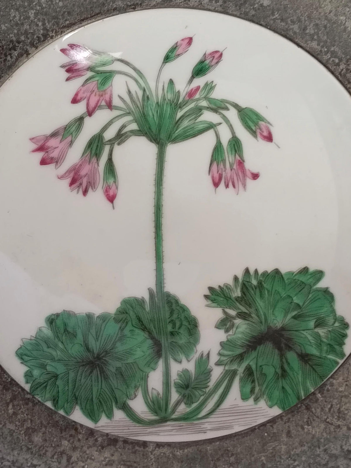 Porzellanteller mit gelbem Blumenmotiv im Stil einer botanischen Illustration, Zinnrand Vintage