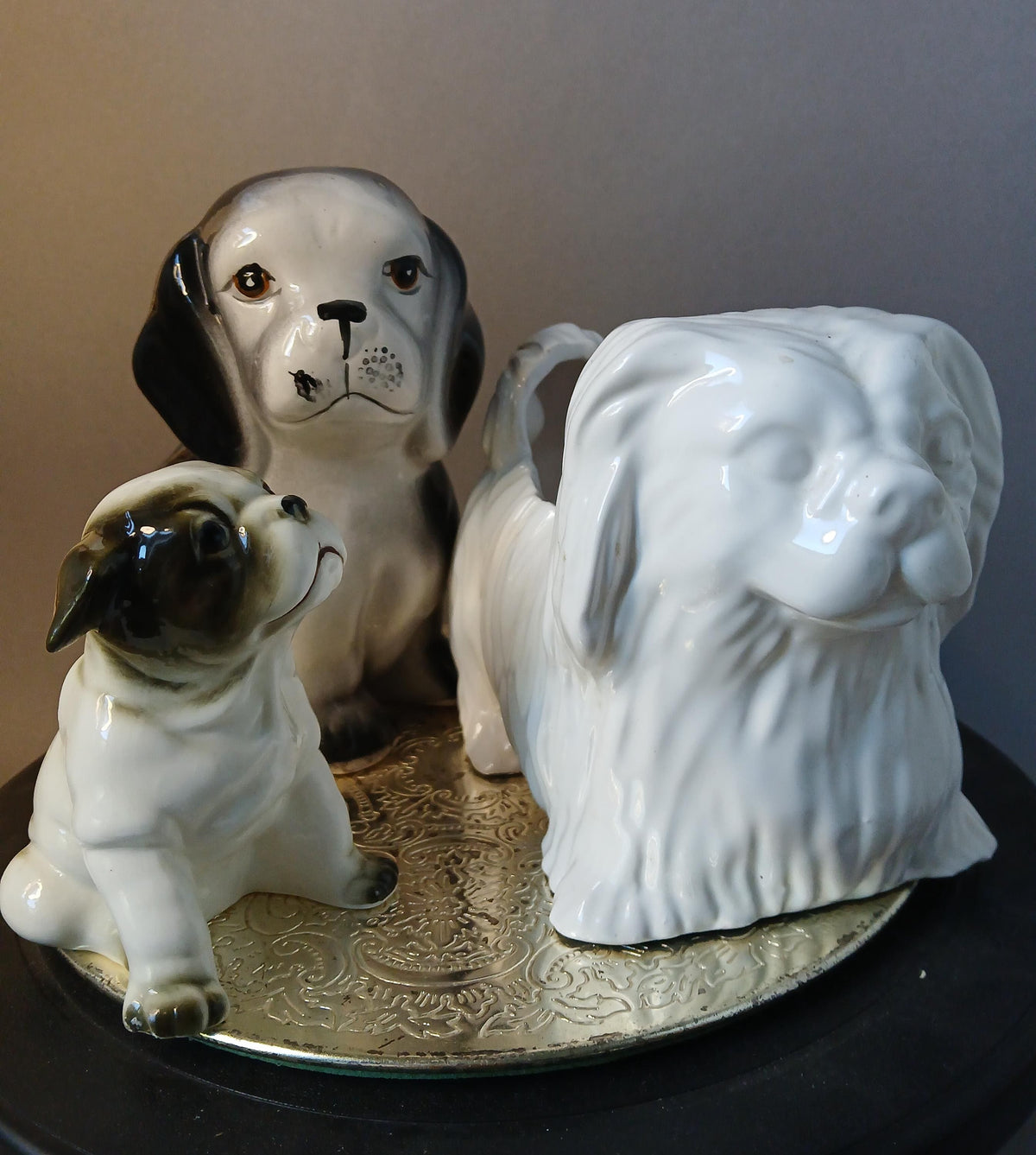 Bulldogge von schräg oben