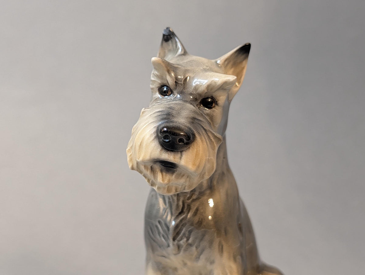 Porzellanhund von oben