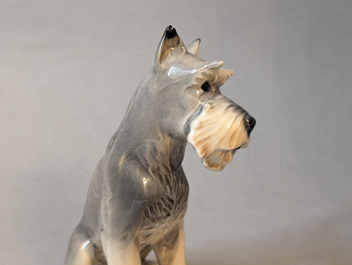Wachsamer Blick des Porzellanhundes