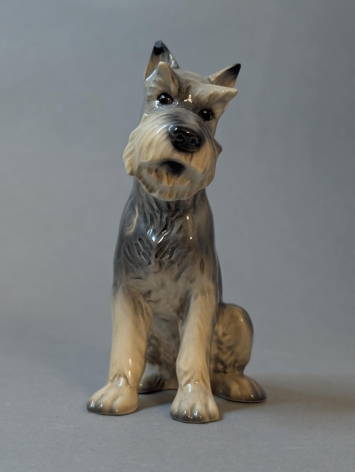 Schnauzer auf dem Kaminsims