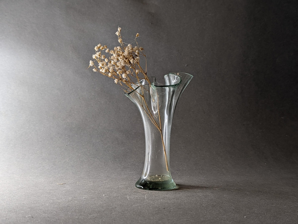 Organische Biomorph-Form der Vintage-Glasvase