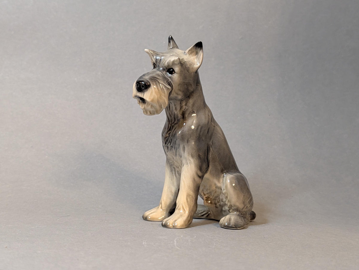 Schnauzer von der rechten Seite