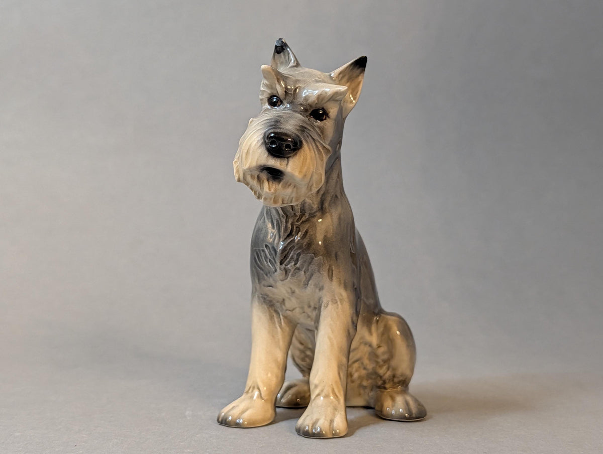 Schnauzer im Bücherregal