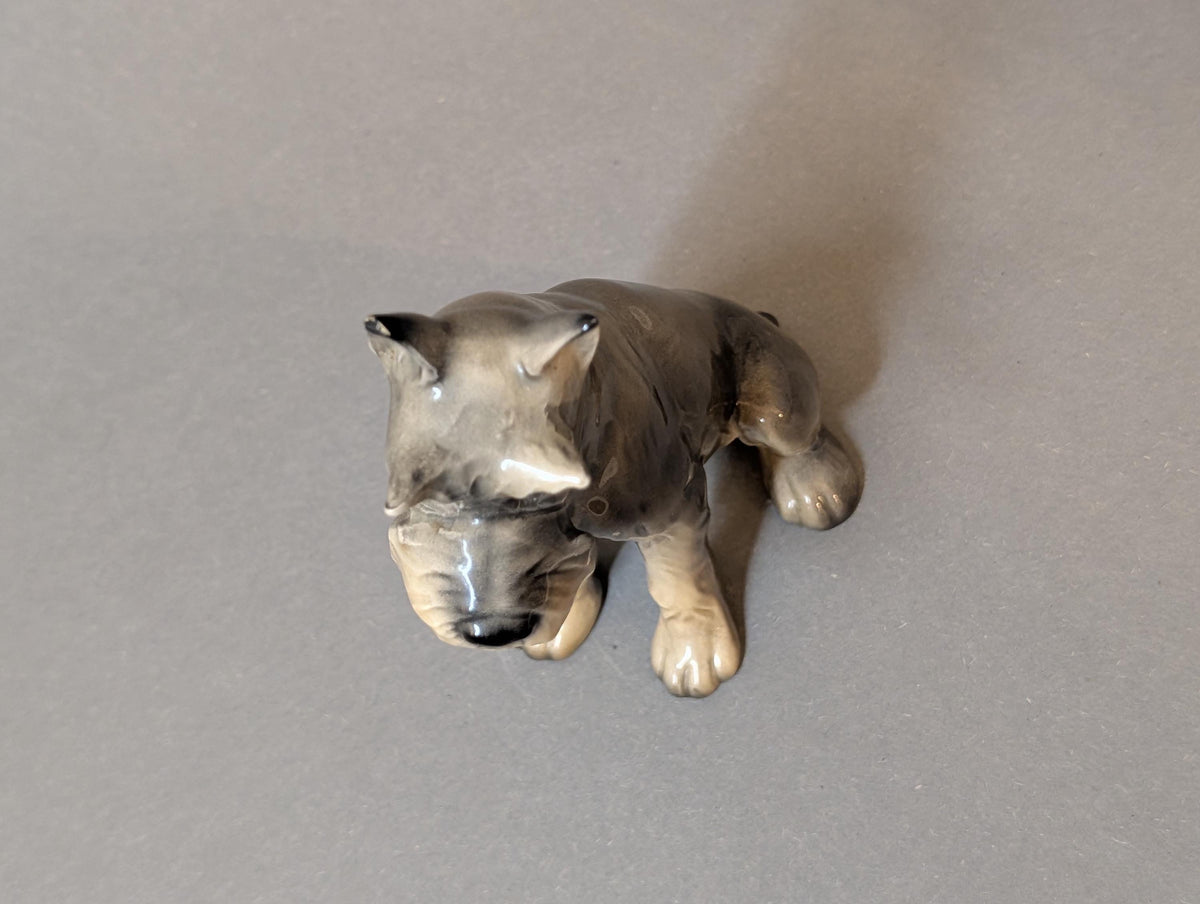 Schnauzer von der linken Seite