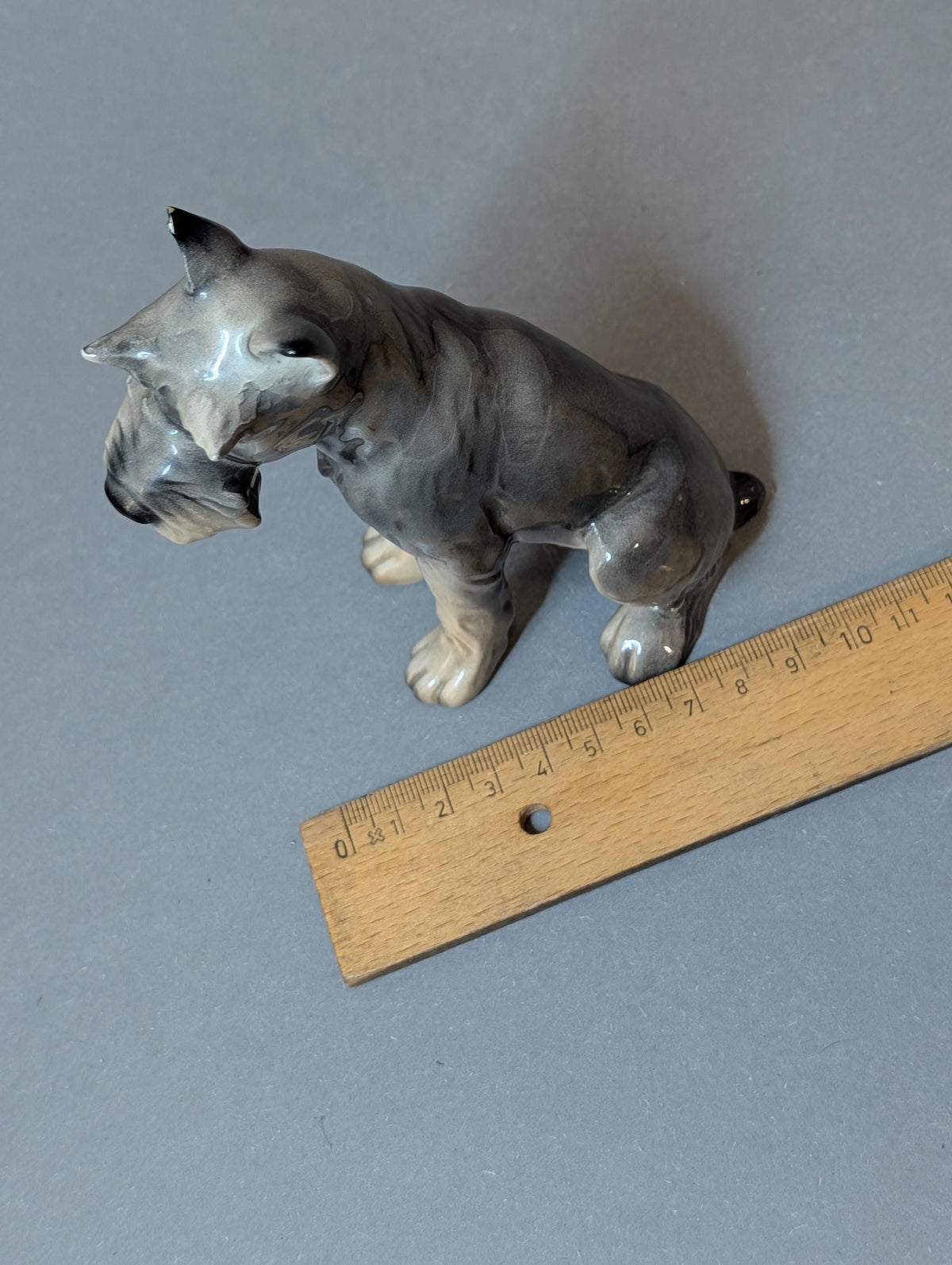 Goebel-Schnauzer von schräg oben