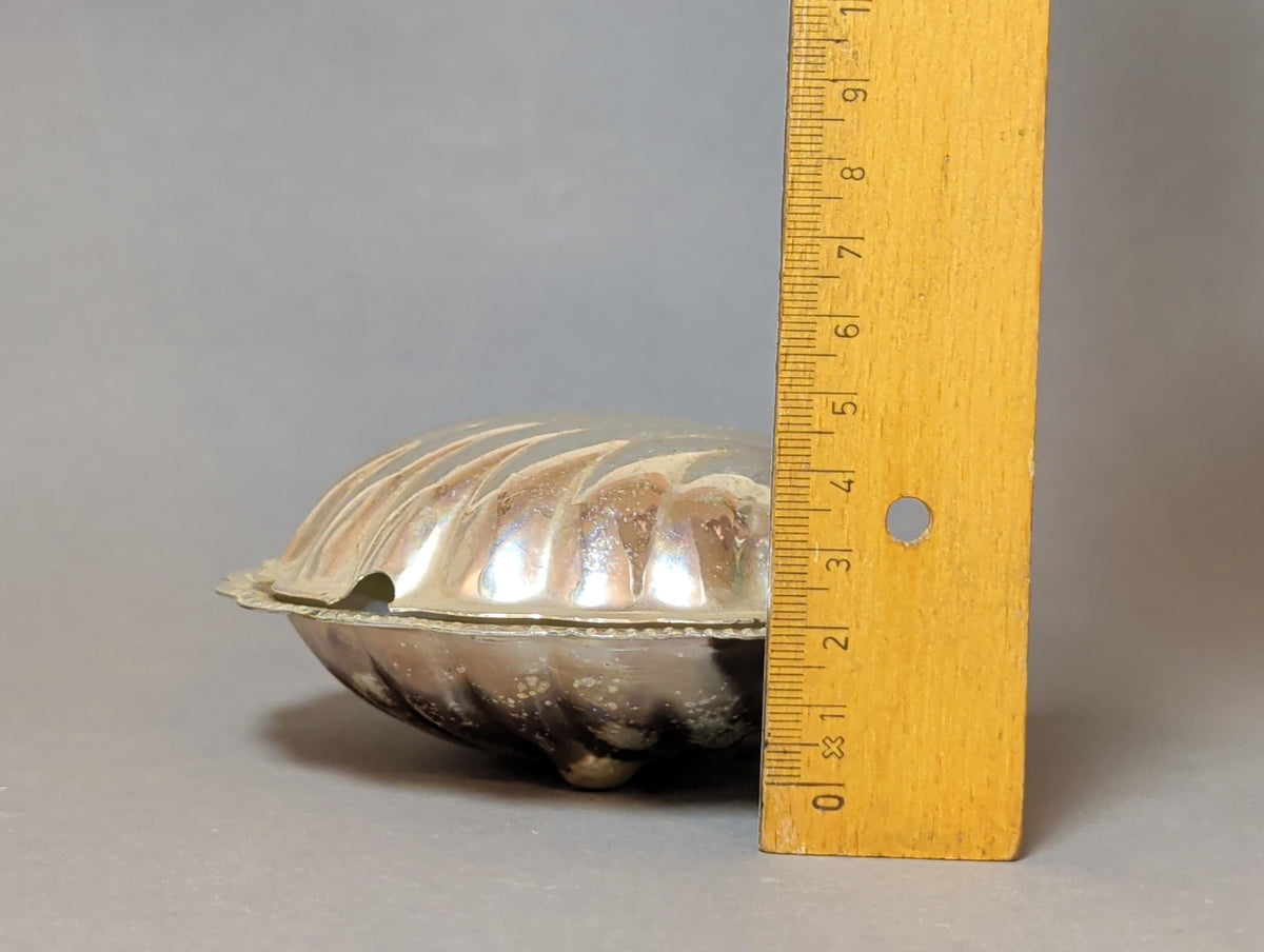 Silberne Muscheldose von schräg