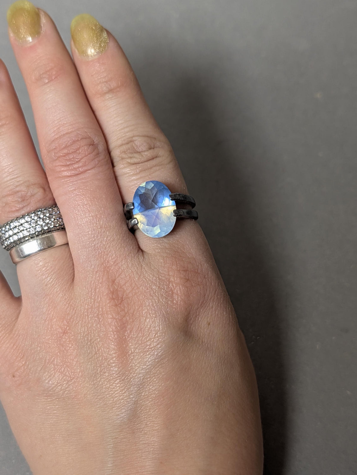 Doppelt geteilte Ringschiene