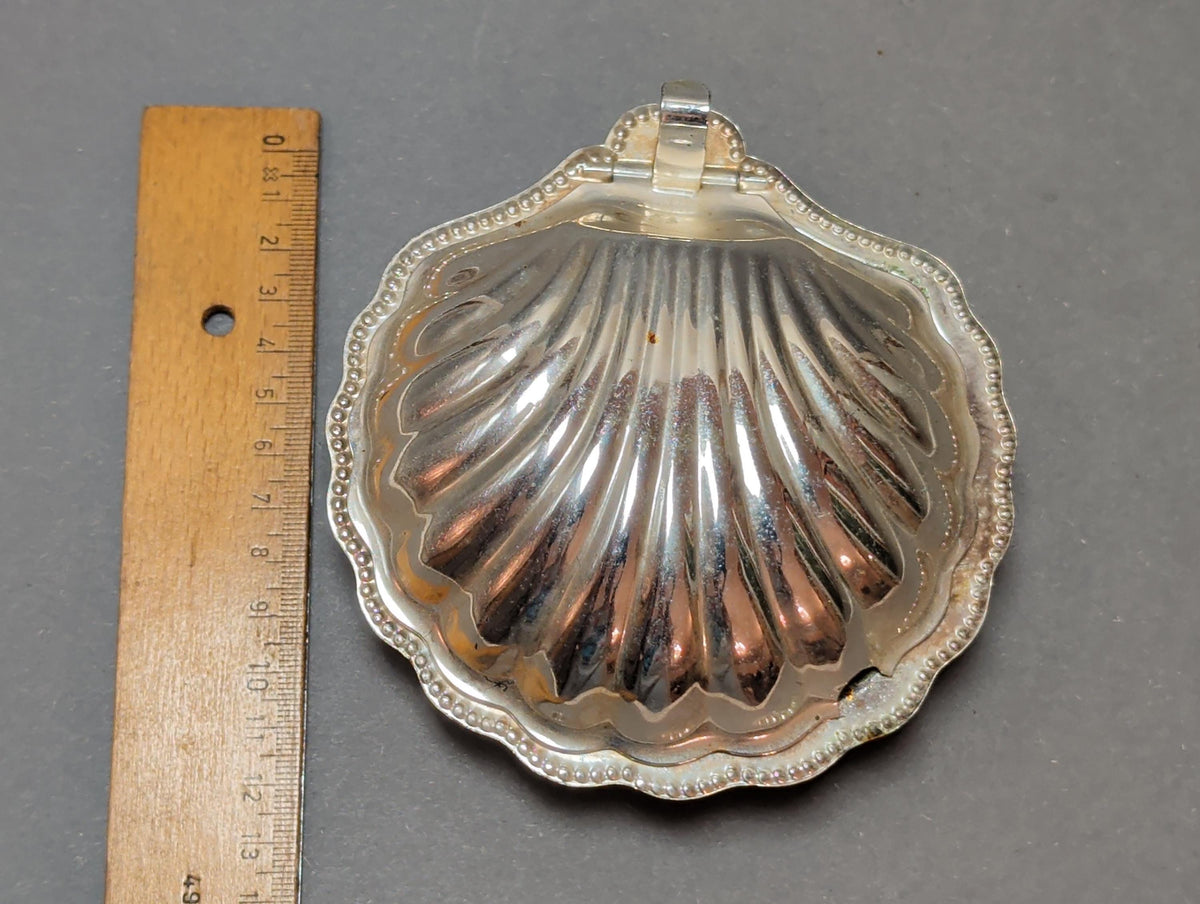 Muscheldose als Schmuckschale