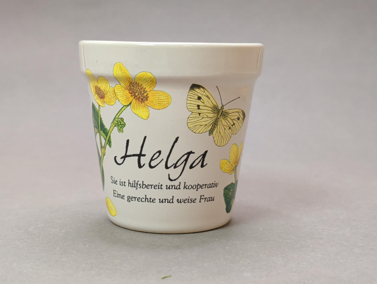 Wiesenblumen und Schmetterling
