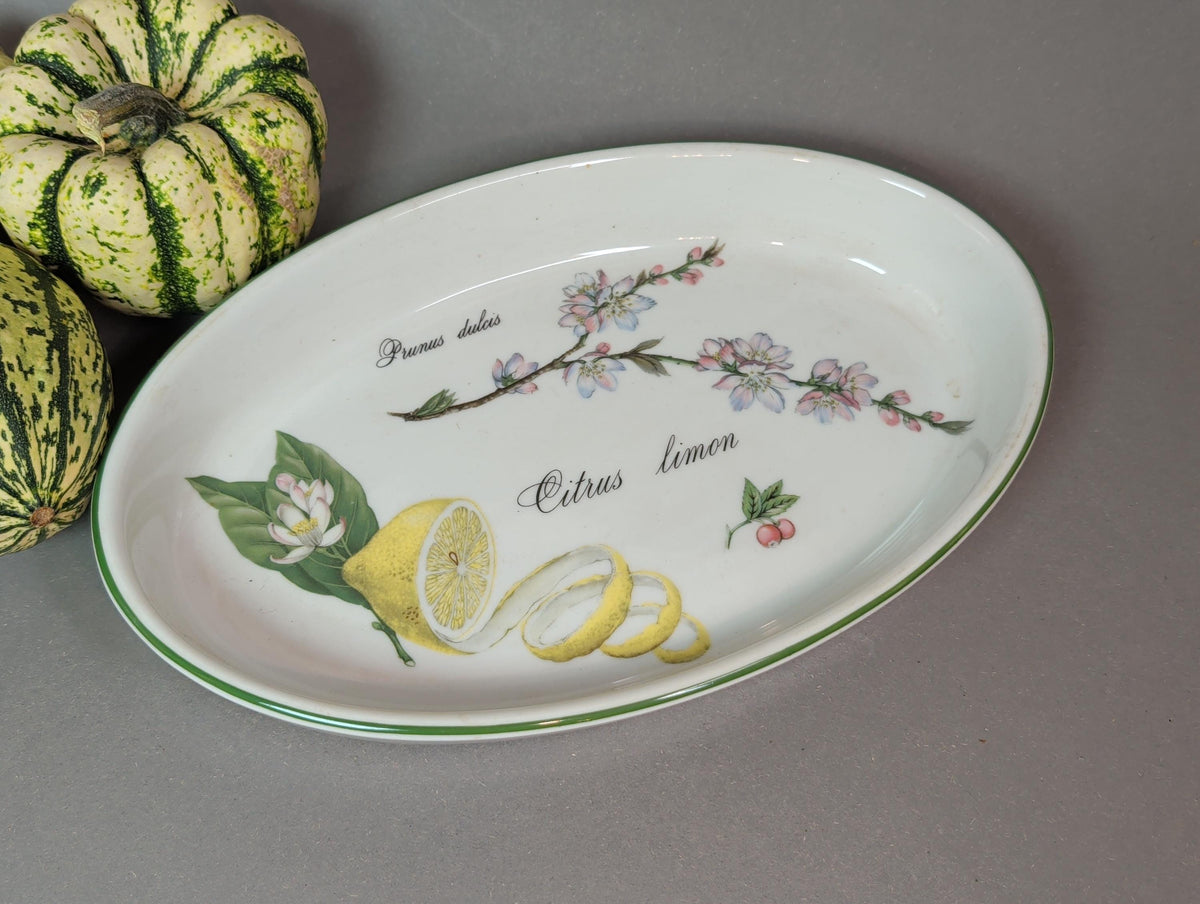 Ovale Porzellan-Servierplatte Elysian Garden mit Zitrone und Mandelblüte, Vintage