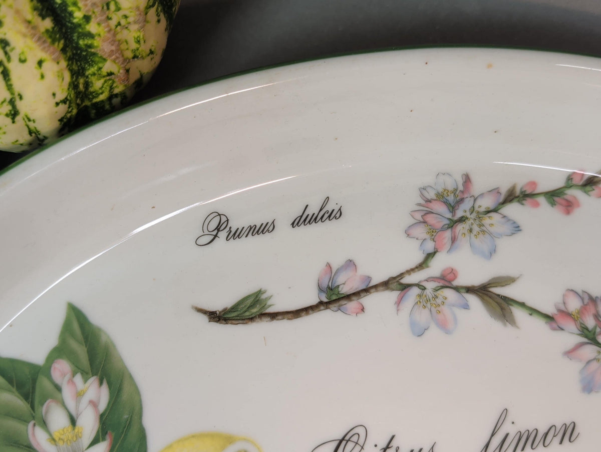Mandelblüte Prunus dulcis als botanisches Dekor