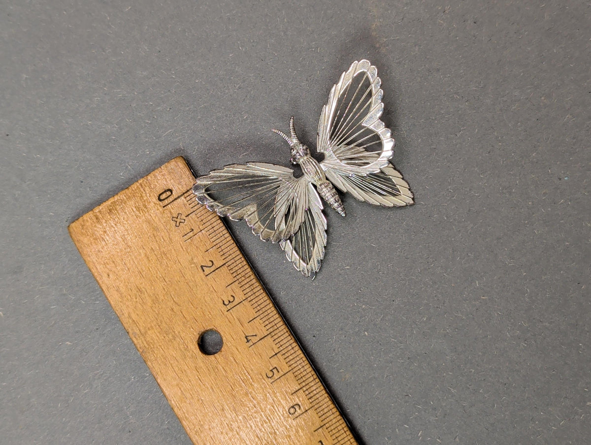 Monet-Schmetterling von schräg