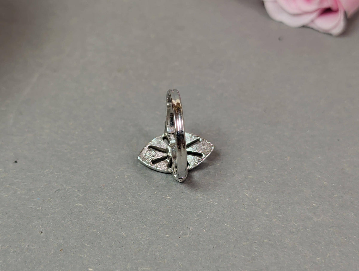 Verstellbare Ringschiene