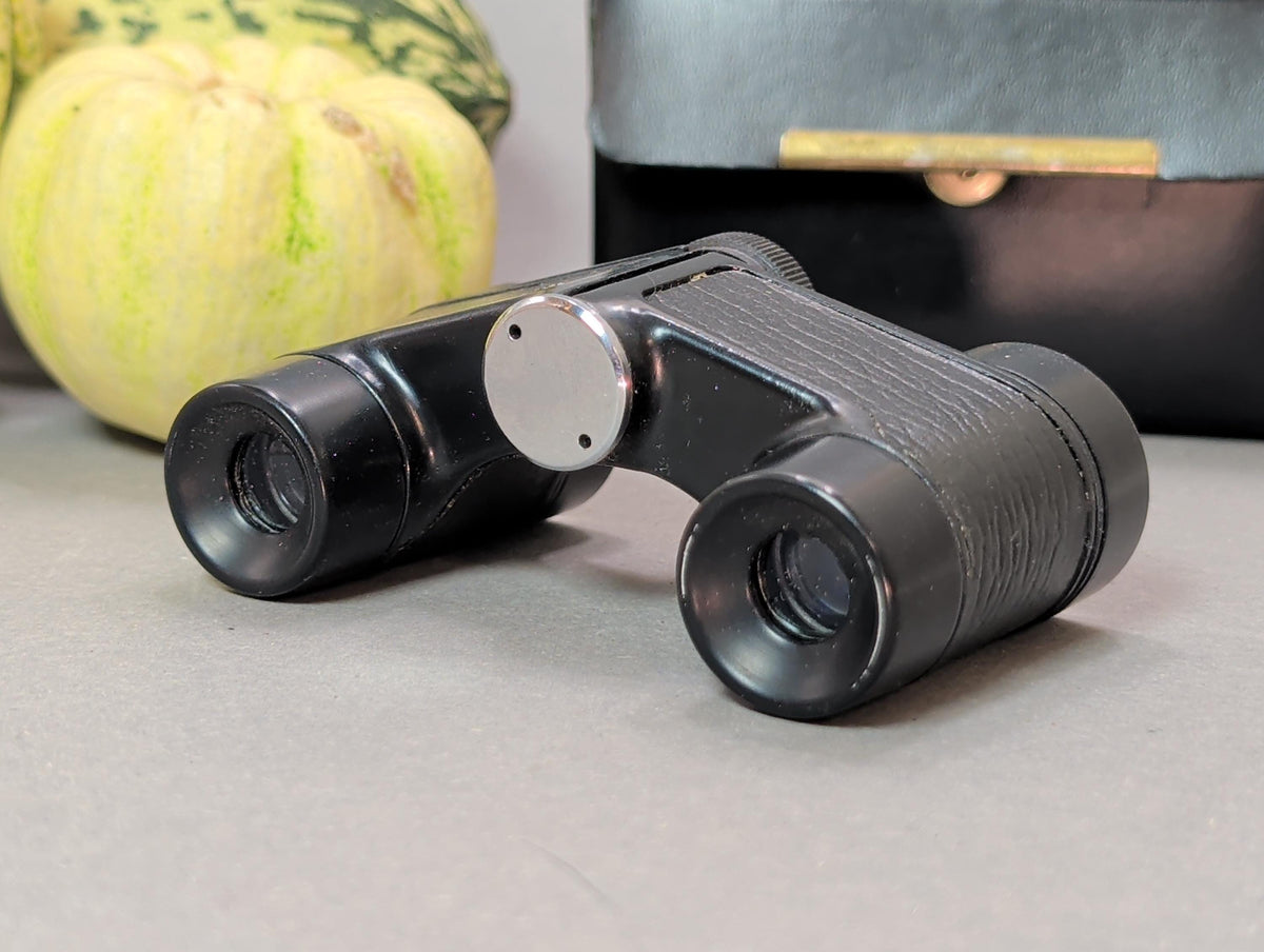Originales Hartschalen-Etui geschlossen mit Messing-Schnappverschluss
