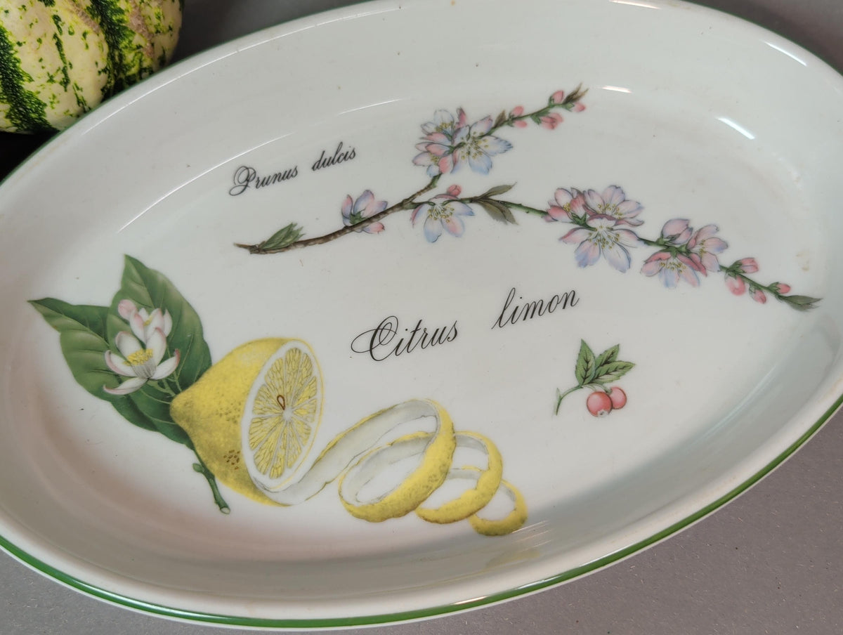 Botanische Zitronen-Illustration Citrus limon auf der Platte, Nahaufnahme