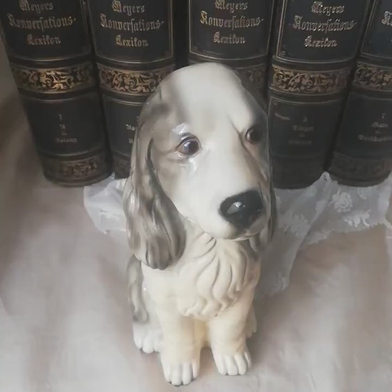 Keramikhund Vintage 1950er Jahre Dekoration. Video